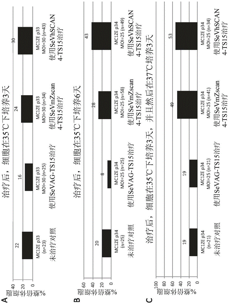 Methods of using ZSCAN4 for rejuvenating human cells