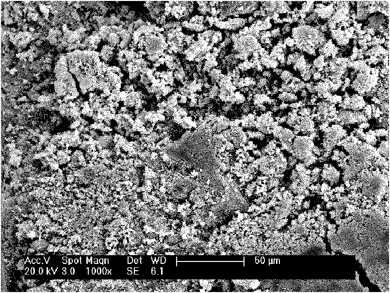 Microbial preparation for mineralized and consolidated copper ions and use method thereof