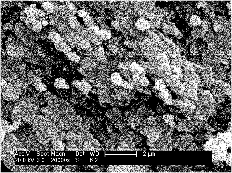 Microbial preparation for mineralized and consolidated copper ions and use method thereof