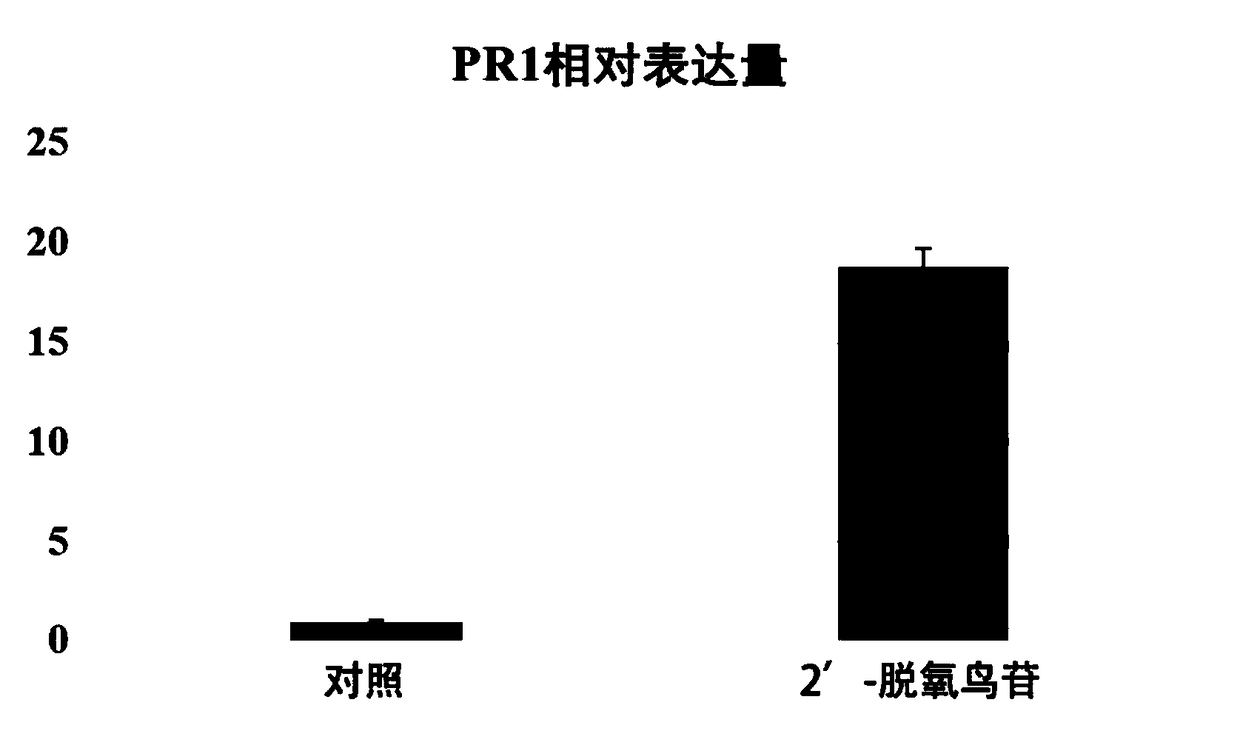 Plant disease-resistant resistance inducer and application thereof