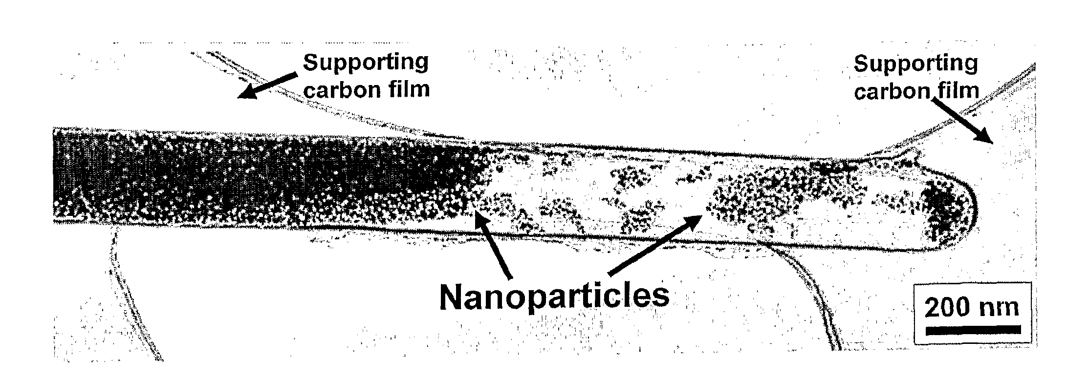 Functional nanoparticle filled carbon nanotubes and methods of their production