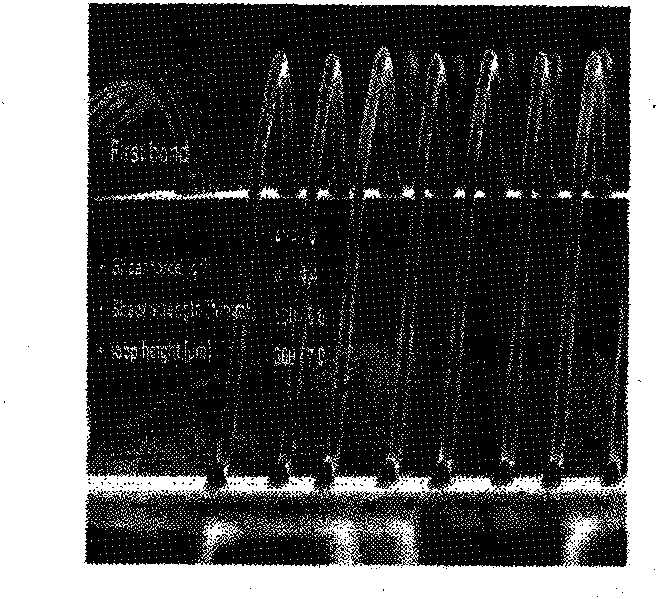 Bonding filamentary silver and preparation method thereof