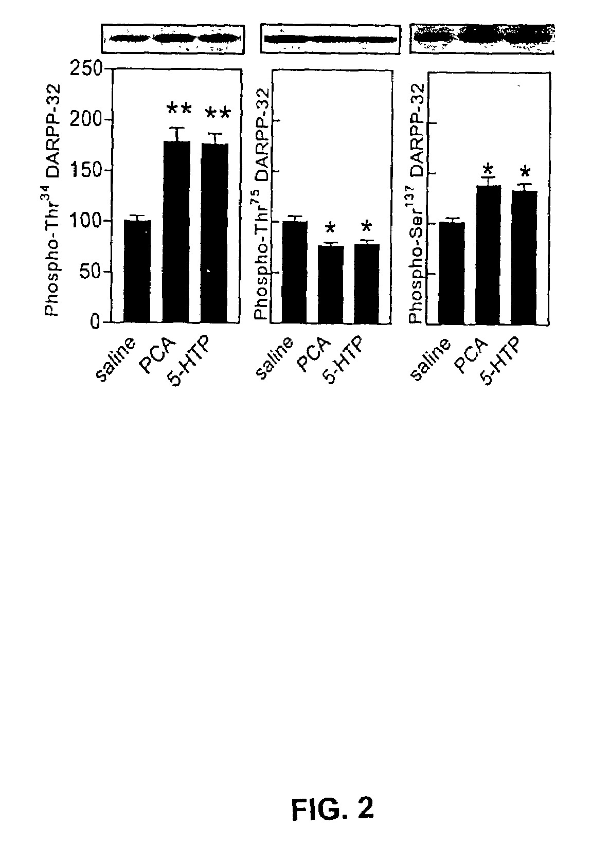 Compositions and methods for modulation of DARPP-32 phosphorylation