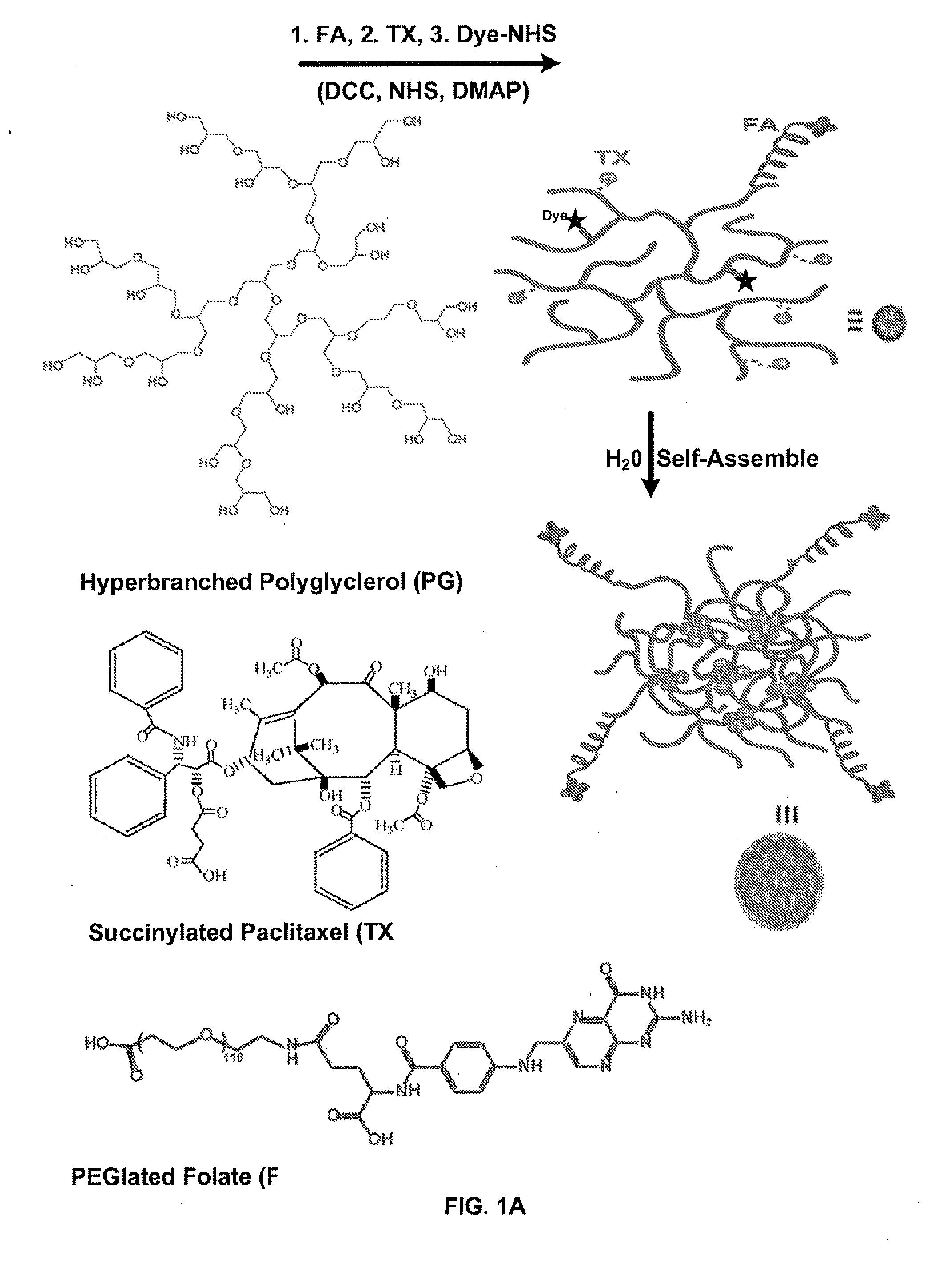Branched Multifunctional Nanoparticle Conjugates And Their Use