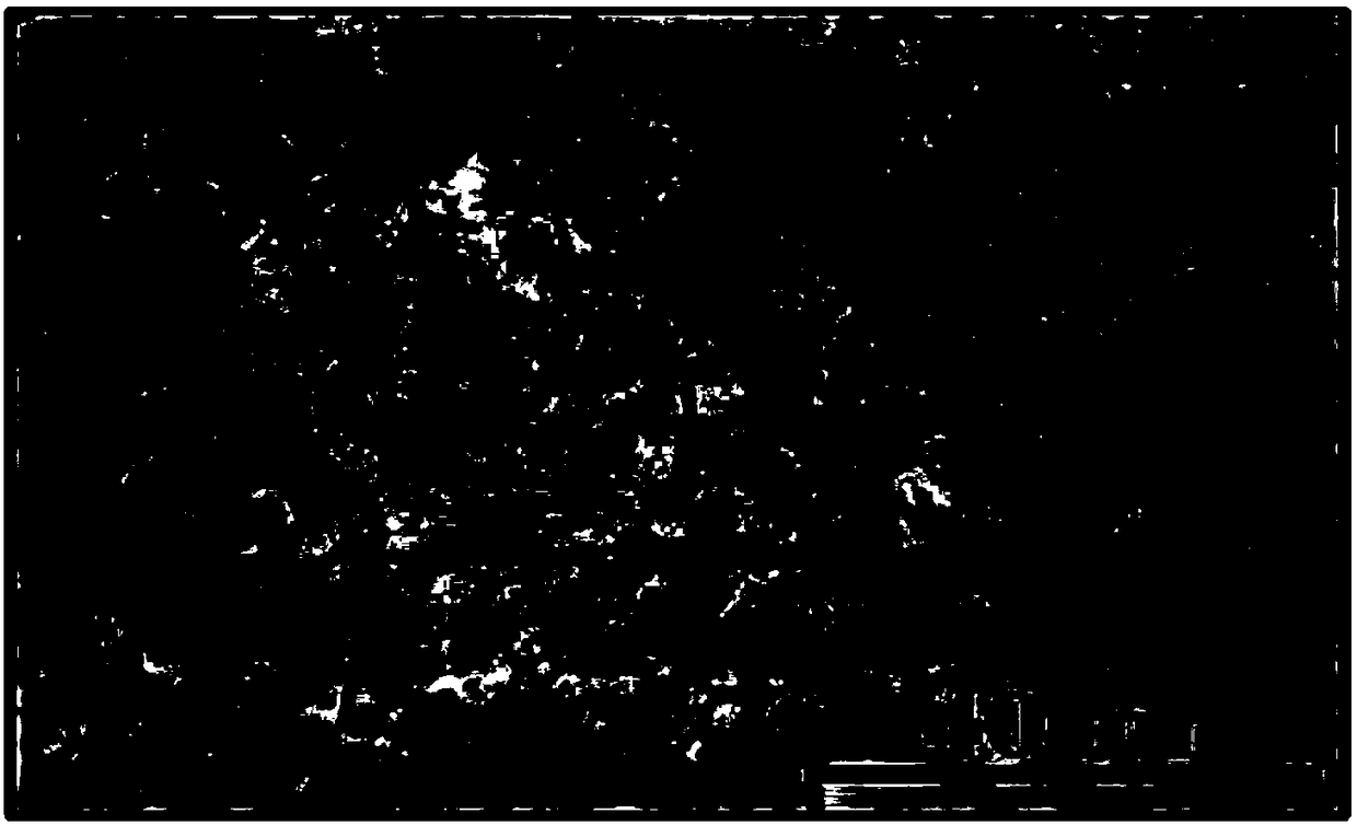 Li-containing lightweight high strength magnesium alloy and preparing method thereof