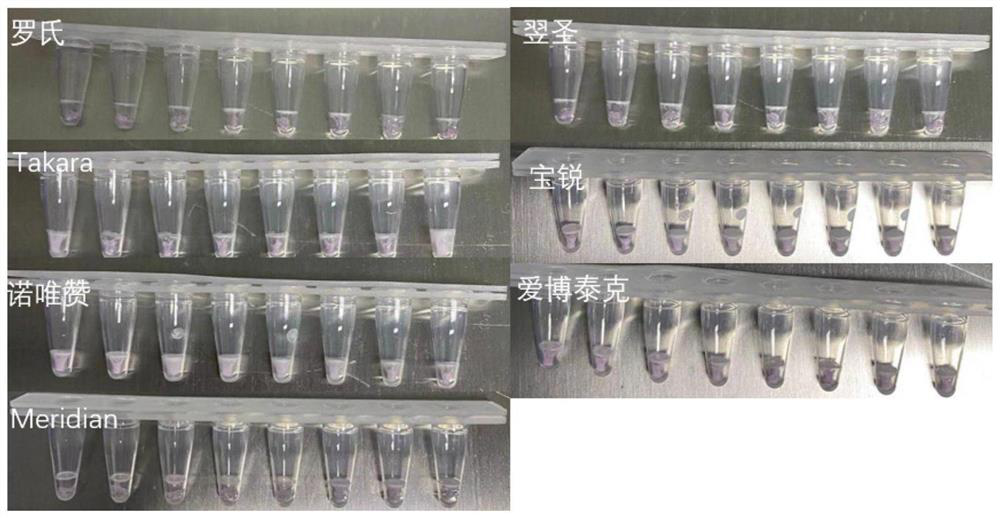 A freeze-drying protective agent, fluorescent PCR detection kit and freeze-drying process