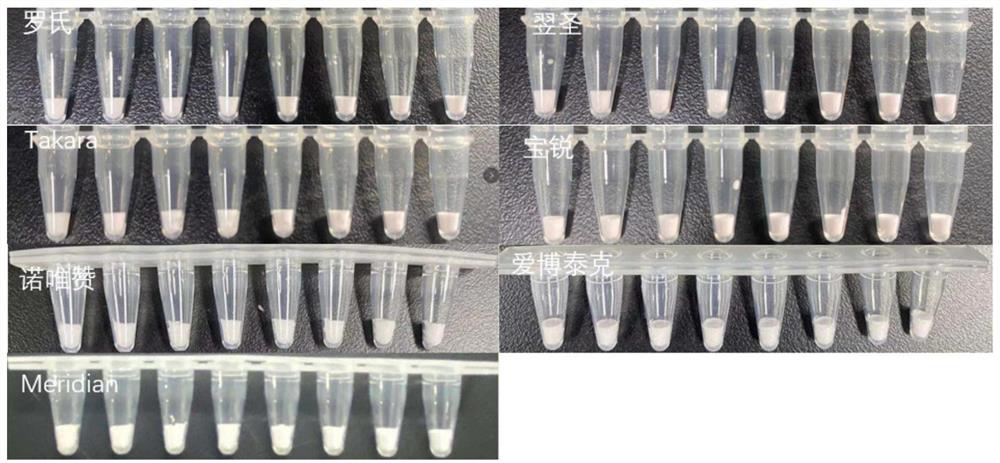 A freeze-drying protective agent, fluorescent PCR detection kit and freeze-drying process