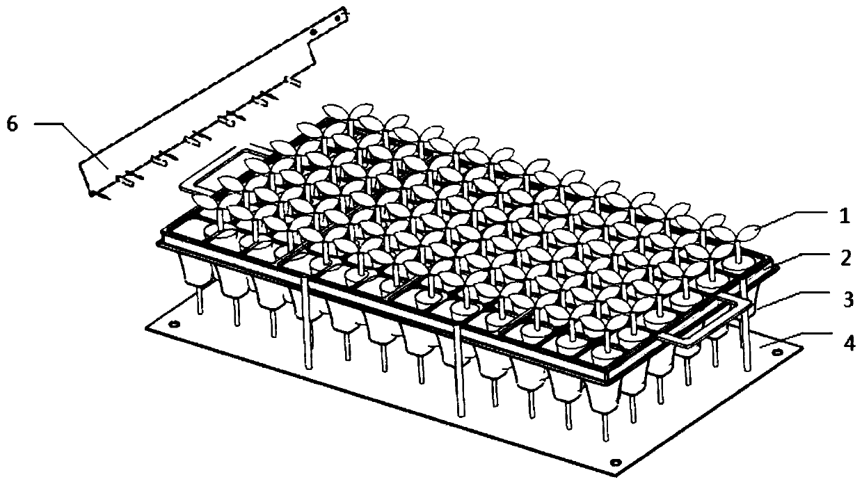 A device for ejecting seedlings from plug trays to protect pots