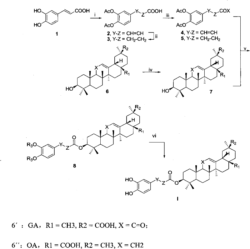 Derivatives of 3-O-caffeoyloleanane type pentacyclic triterpene, preparation method thereof and application thereof