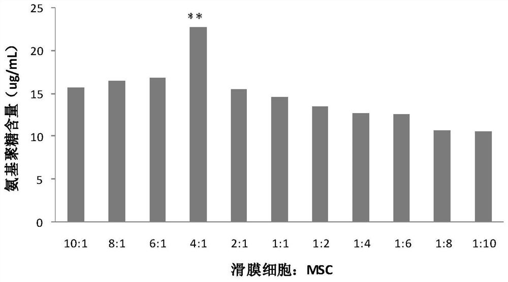 Mesenchymal stem cell preparation for repairing articular cartilage damage/defect, preparation method and application thereof