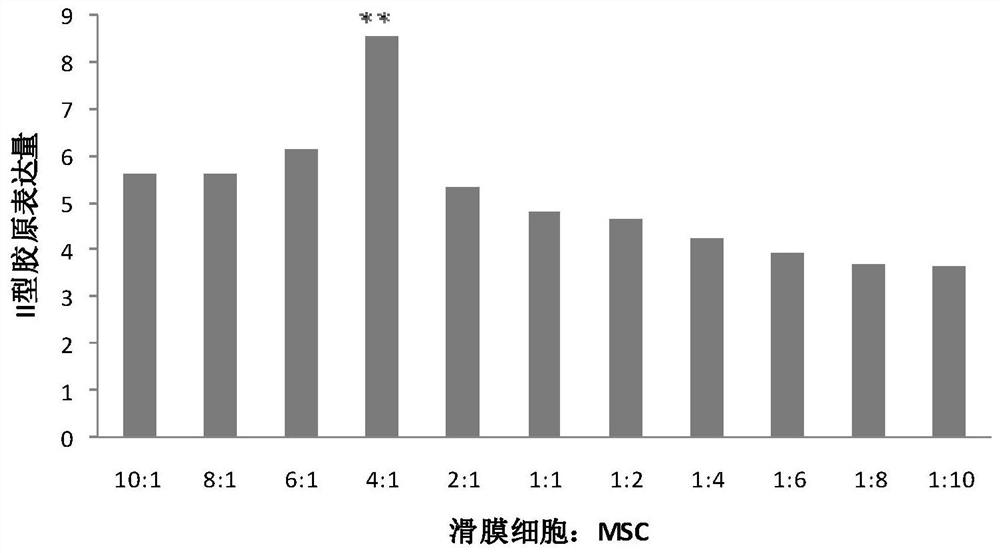 Mesenchymal stem cell preparation for repairing articular cartilage damage/defect, preparation method and application thereof