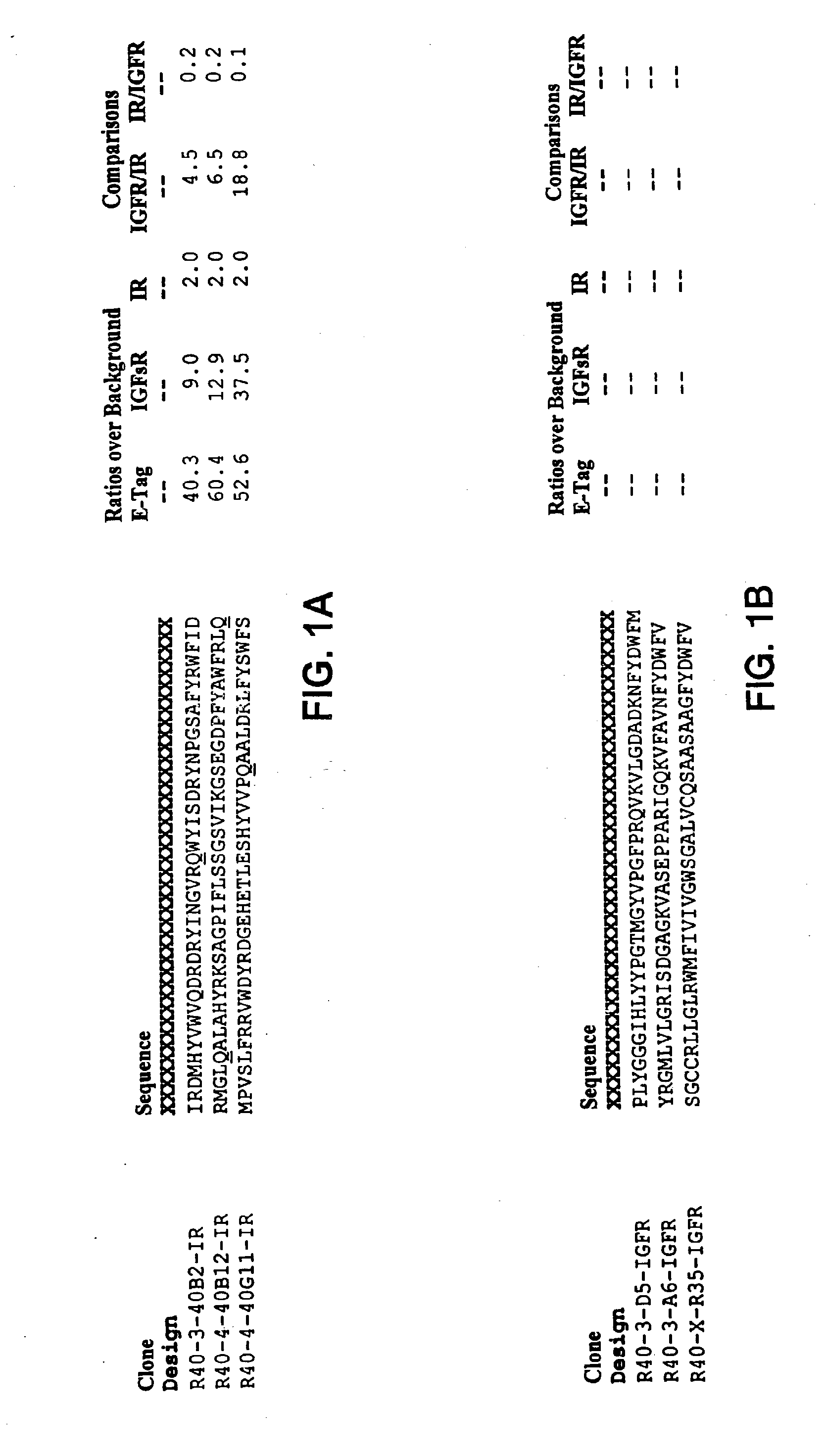 Insulin and IGF-1 receptor agonists and antagonists