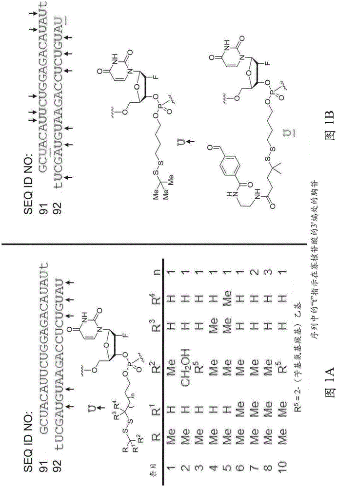 Polynucleotide constructs having disulfide groups