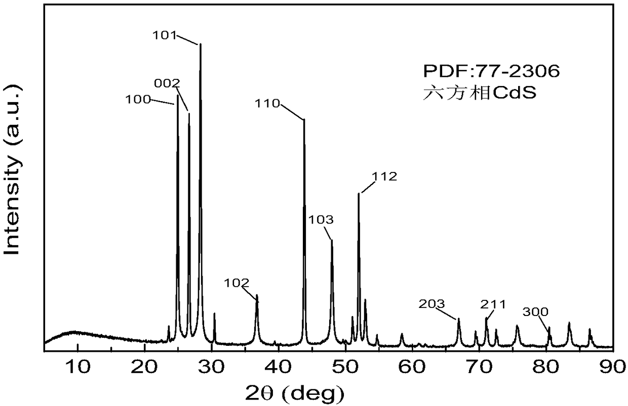 CdS nano-snowflake photocatalyst as well as preparation method and application thereof