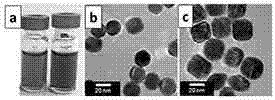 Seed epitaxial growth-based controllable preparation method of single crystal gold@platinum core-shell octahedral nanoparticle