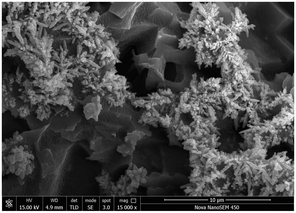 A method for rapid preparation of copper/polytetrafluoroethylene superamphiphobic coating