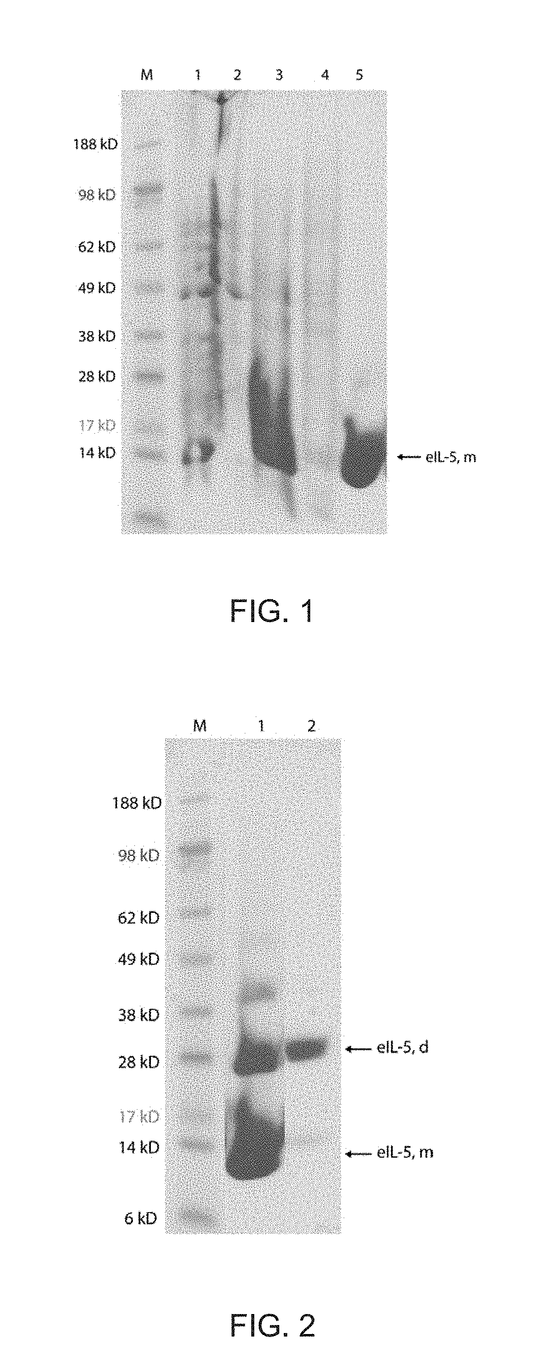 Treatment of insect bite hypersensitivity