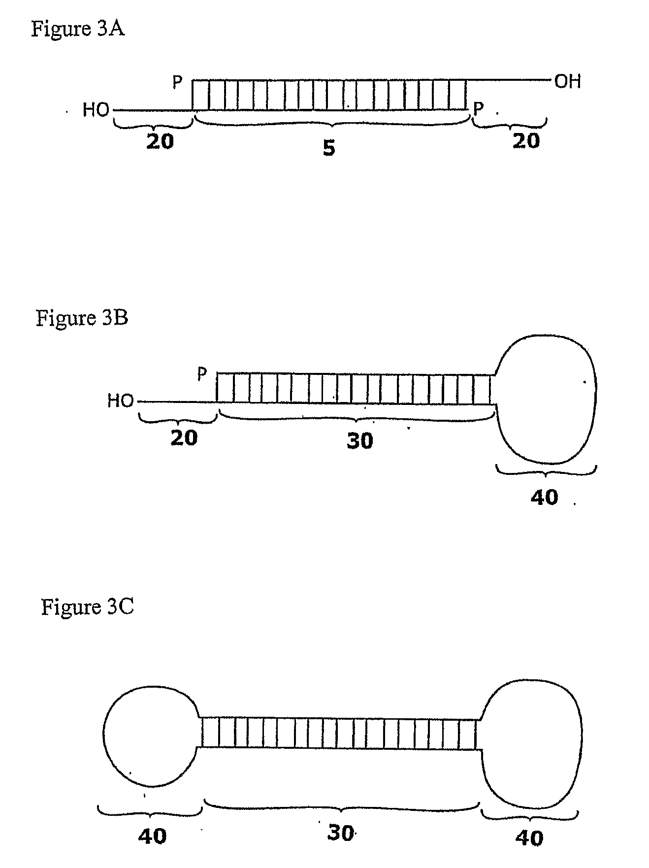 Compositions and methods for RNA interference with sialidase expression and uses thereof