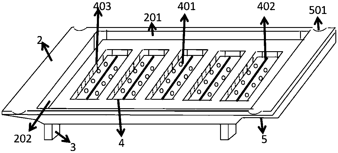 Special device for tumor transplantation of zebrafish larvae, and working method of special device