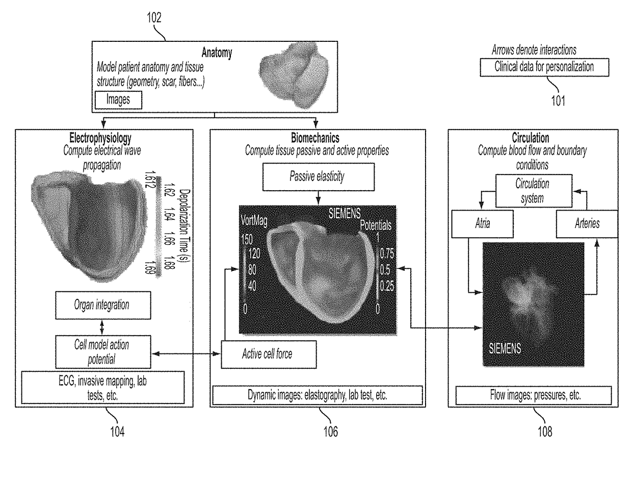 Method and system for interactive computation of cardiac electromechanics