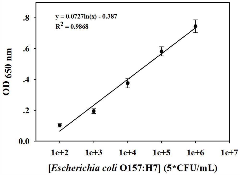 Method for detecting escherichia coli O157: H7 based on core-shell gold-platinum nanocluster