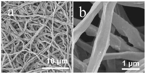Composite lithium metal negative electrode based on MXene nanoribbon and general synthesis method of composite lithium metal negative electrode