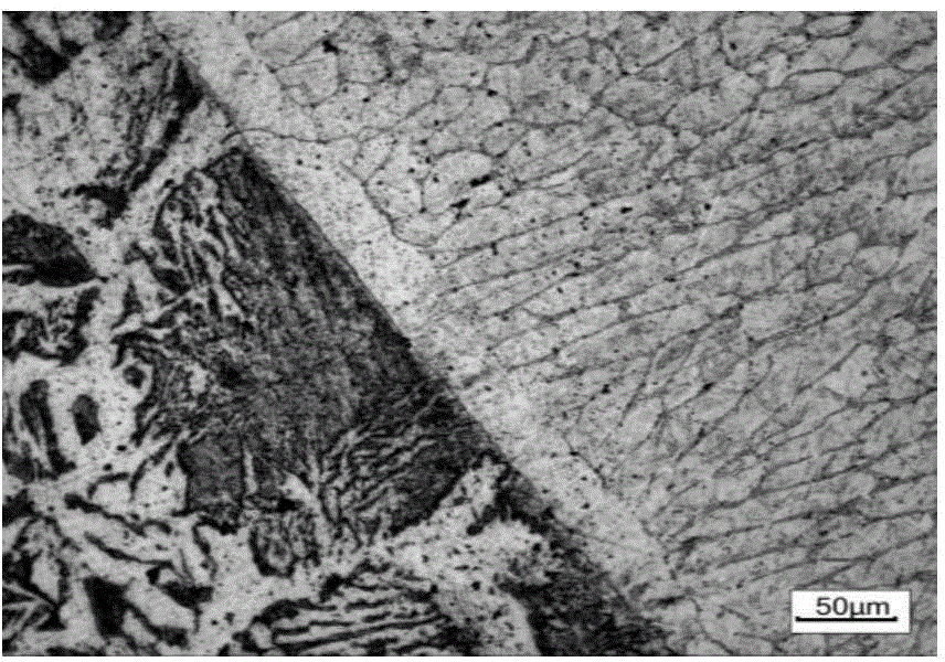 Active argon arc cladding Ni-based aluminum oxide-titanium diboride compound coating of coal ash and preparation method