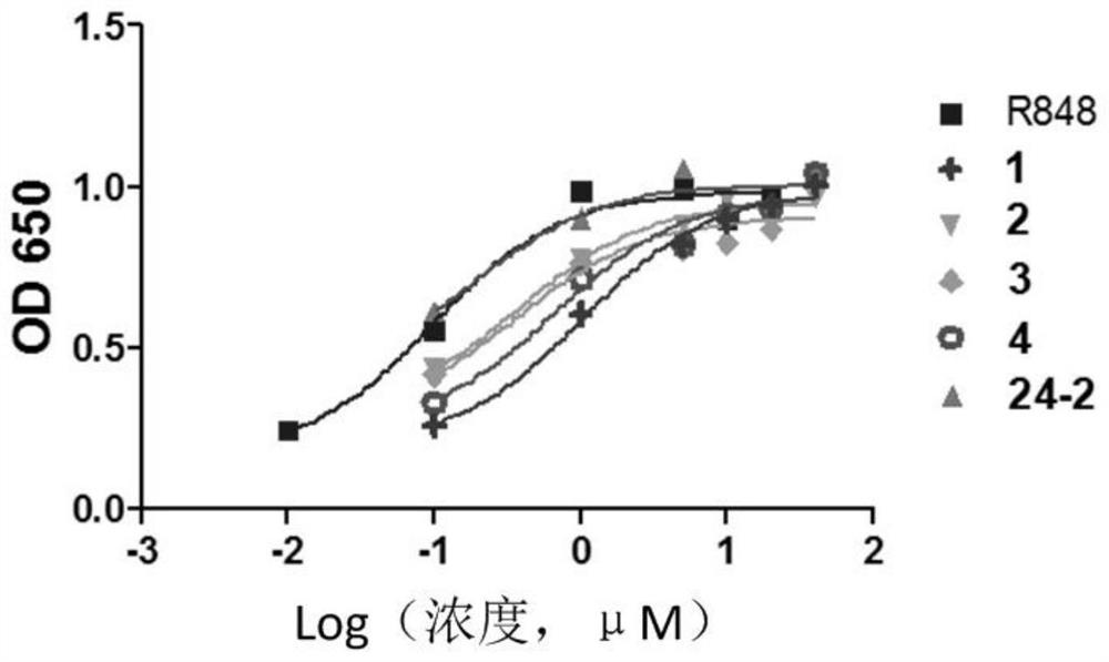 Immune activation antibody and application thereof