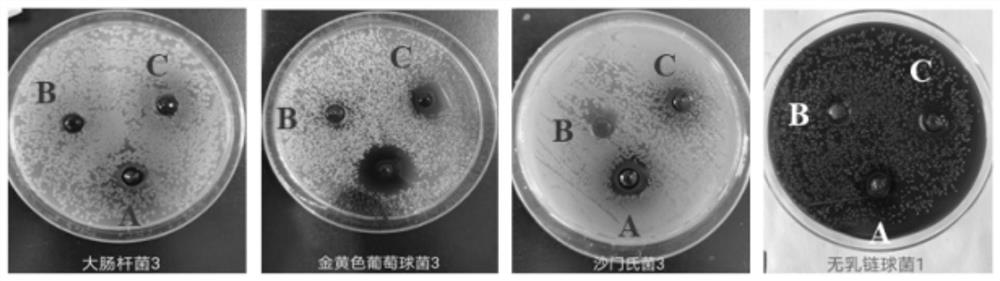 Fermented compound traditional Chinese medicine additive capable of increasing amniotic fluid of sows volume and PSY and preparation method thereof