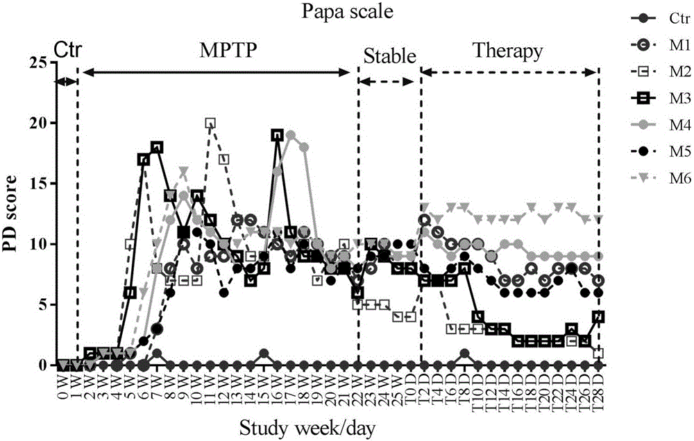 Primates Parkinson's disease model behavior assessment optimal method