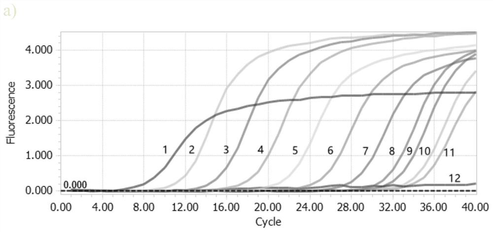 Fluorescent quantitative PCR kit and primer for detecting chicken infectious anemia virus