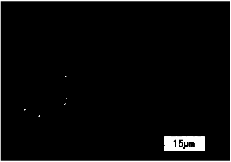 Normal-temperature dispersion method for water-soluble oxidant in macromolecular material