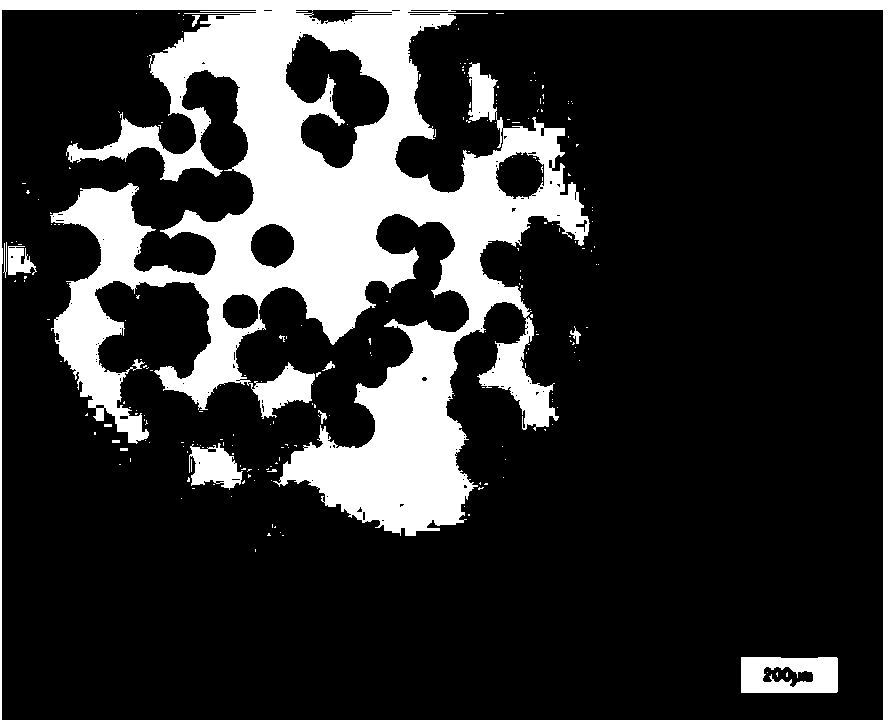 Normal-temperature dispersion method for water-soluble oxidant in macromolecular material