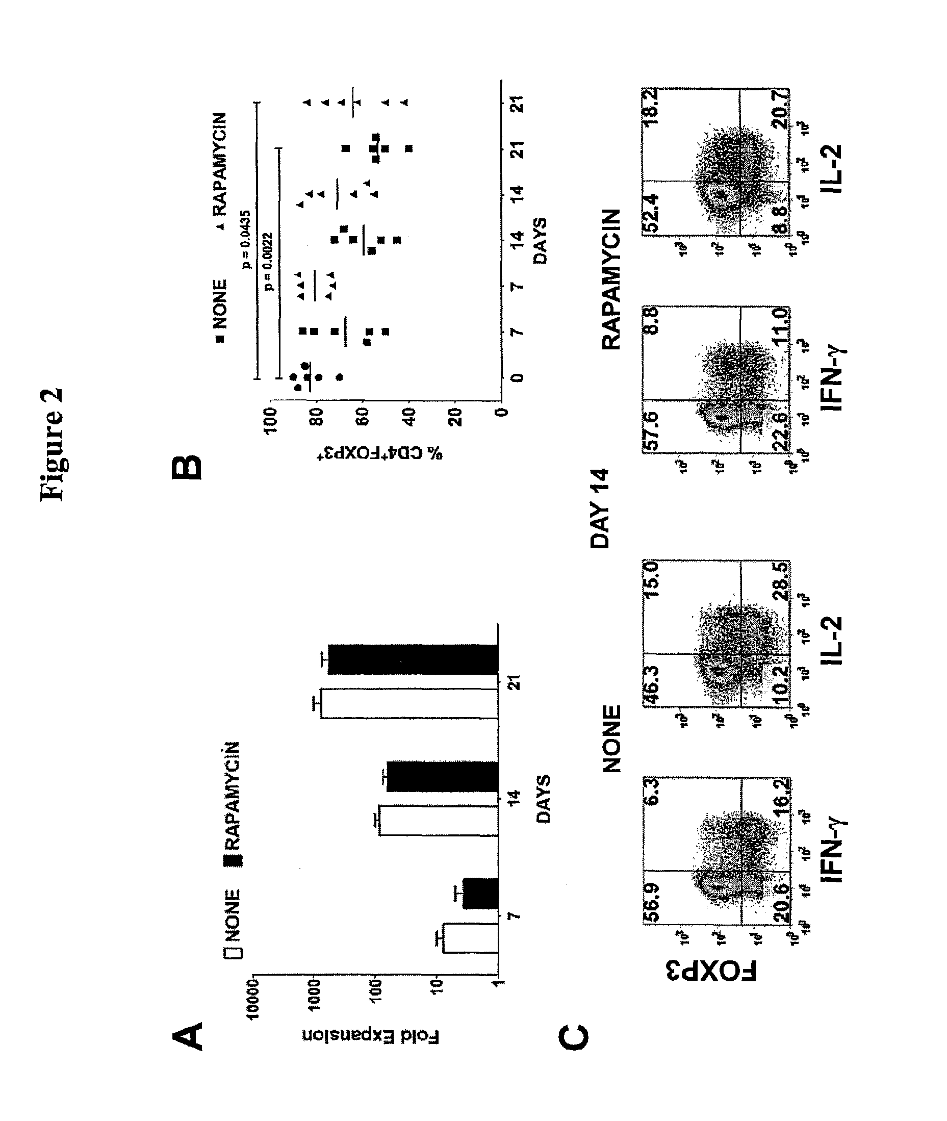 Method of making an isolated population of FOXP3+ regulatory T cells