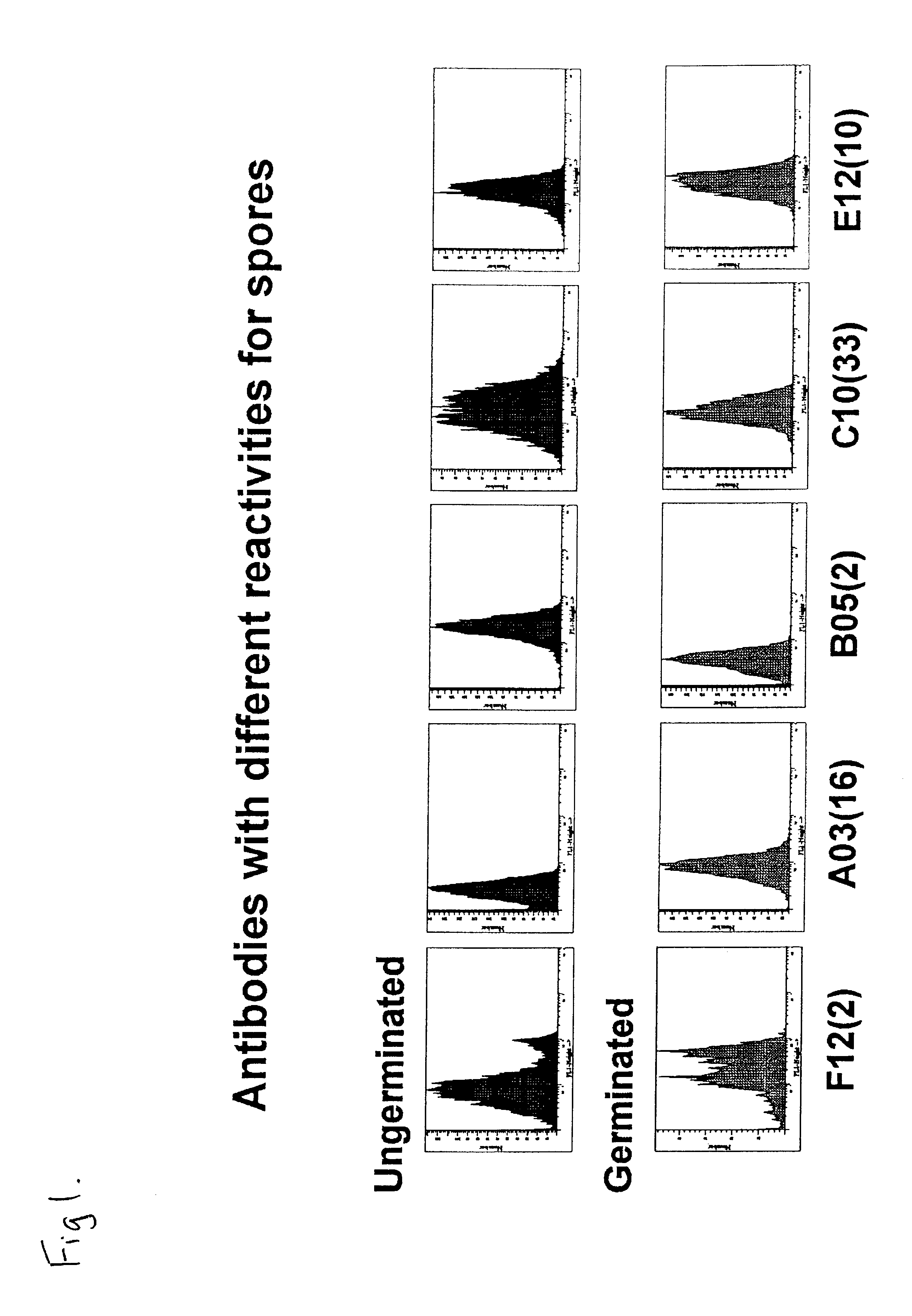 Monoclonal antibodies specific for anthrax and peptides derived from the antibodies thereof
