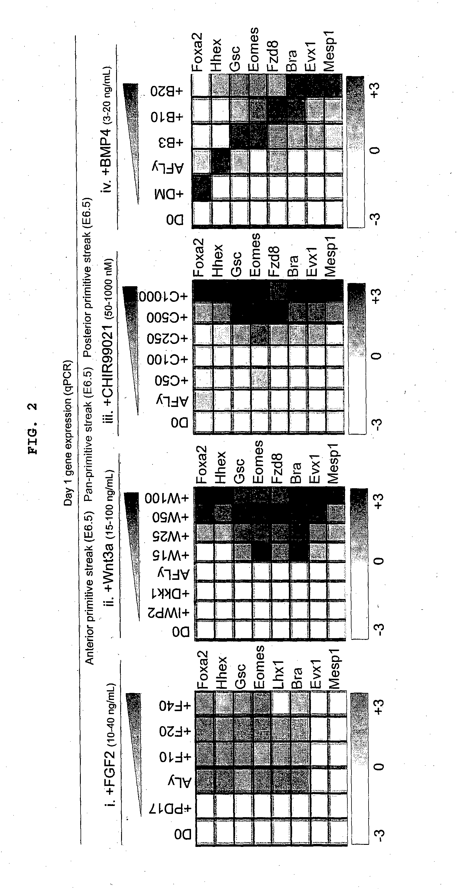 Methods of differentiating stem cells into one or more cell lineages
