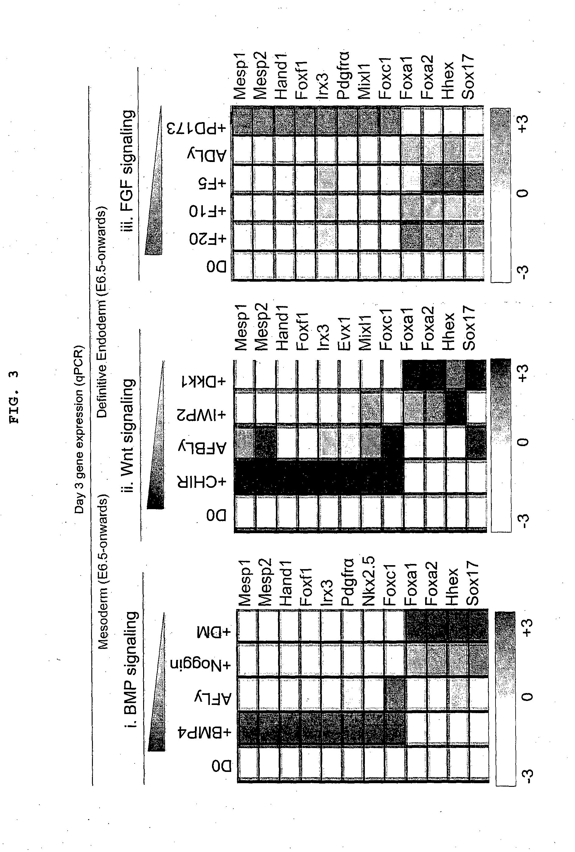 Methods of differentiating stem cells into one or more cell lineages