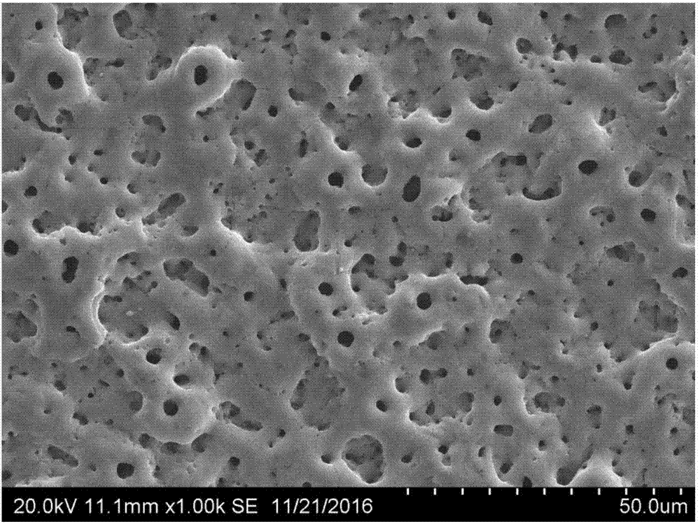 Micro-arc oxidation preparation method of magnetic TiO2 bioactive coating