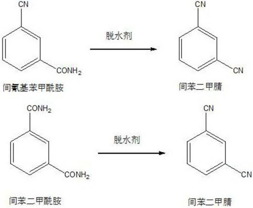 A kind of refining method of chlorothalonil raw material isophthalonitrile