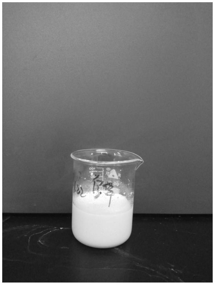 Volcano cold spring water oil-in-water vitamin Pickering emulsion and preparation method thereof