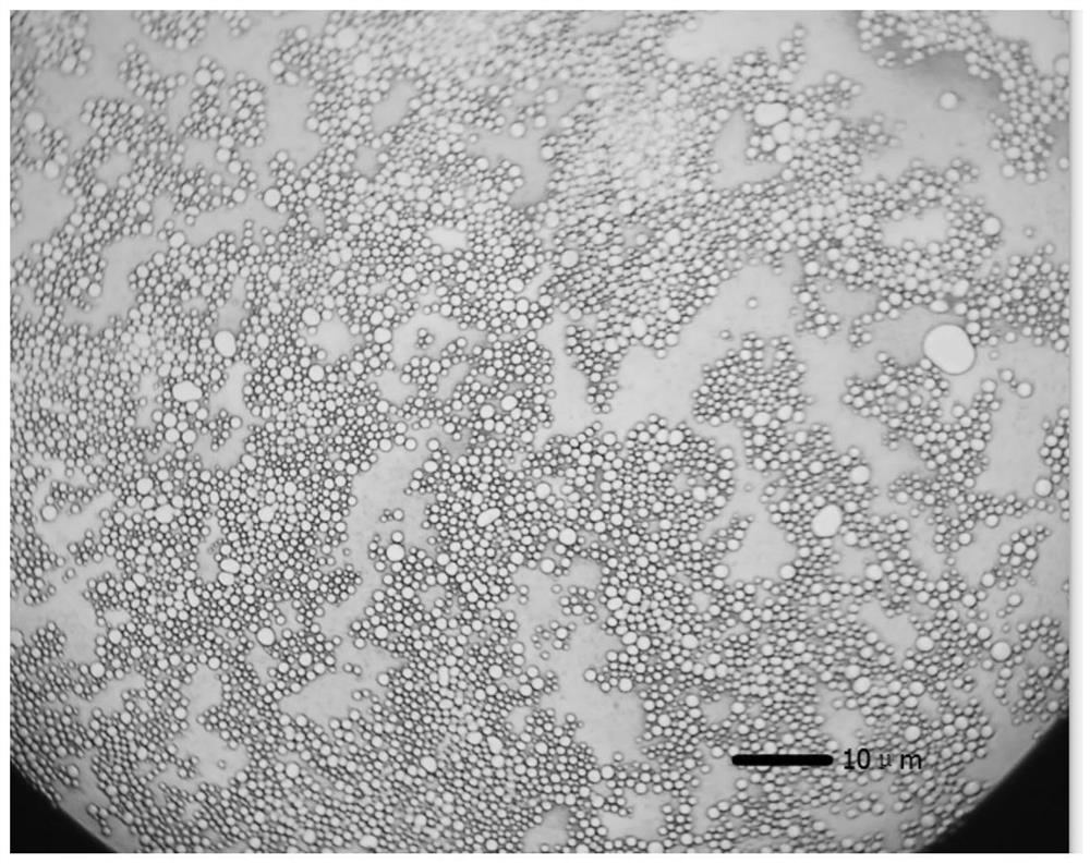 Volcano cold spring water oil-in-water vitamin Pickering emulsion and preparation method thereof