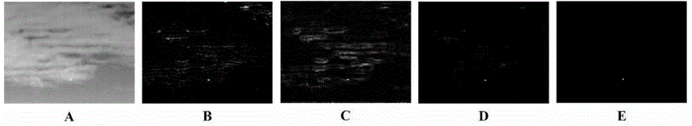 Small infrared object detection method in complex cloud sky background