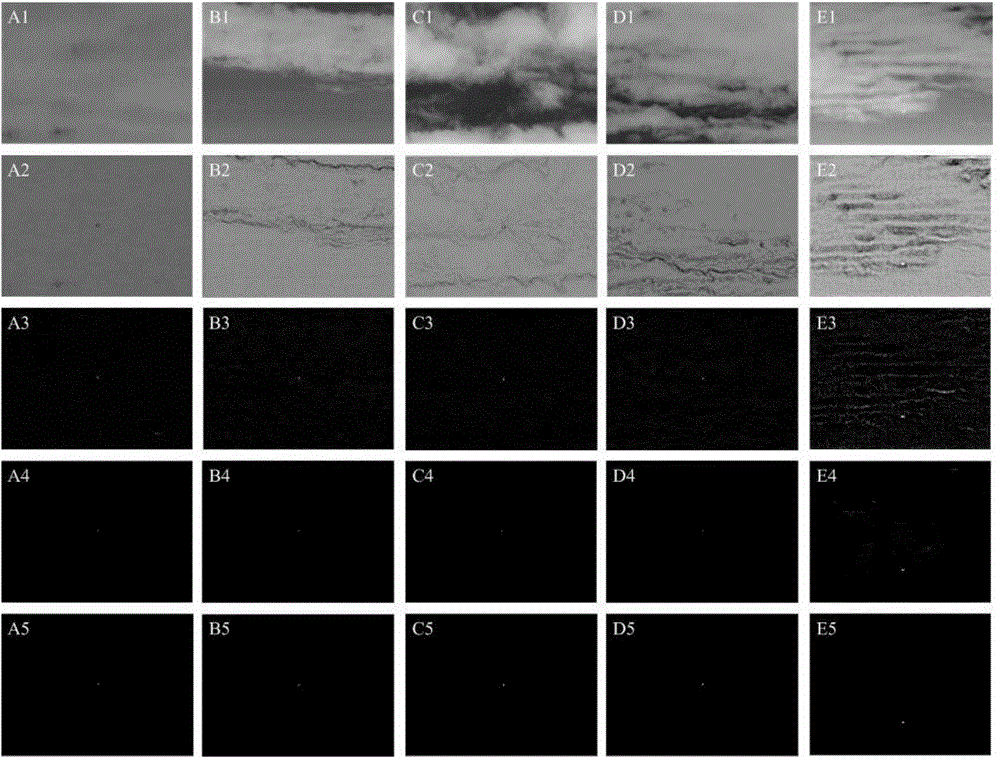 Small infrared object detection method in complex cloud sky background