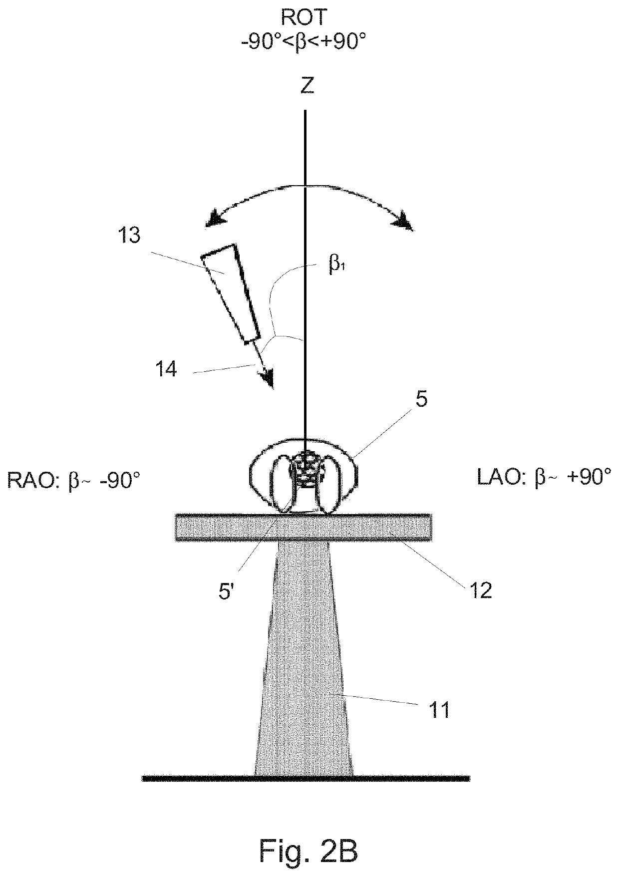 Method and apparatus for reconstructing a three-dimensional representation of a target volume inside an animal or human body