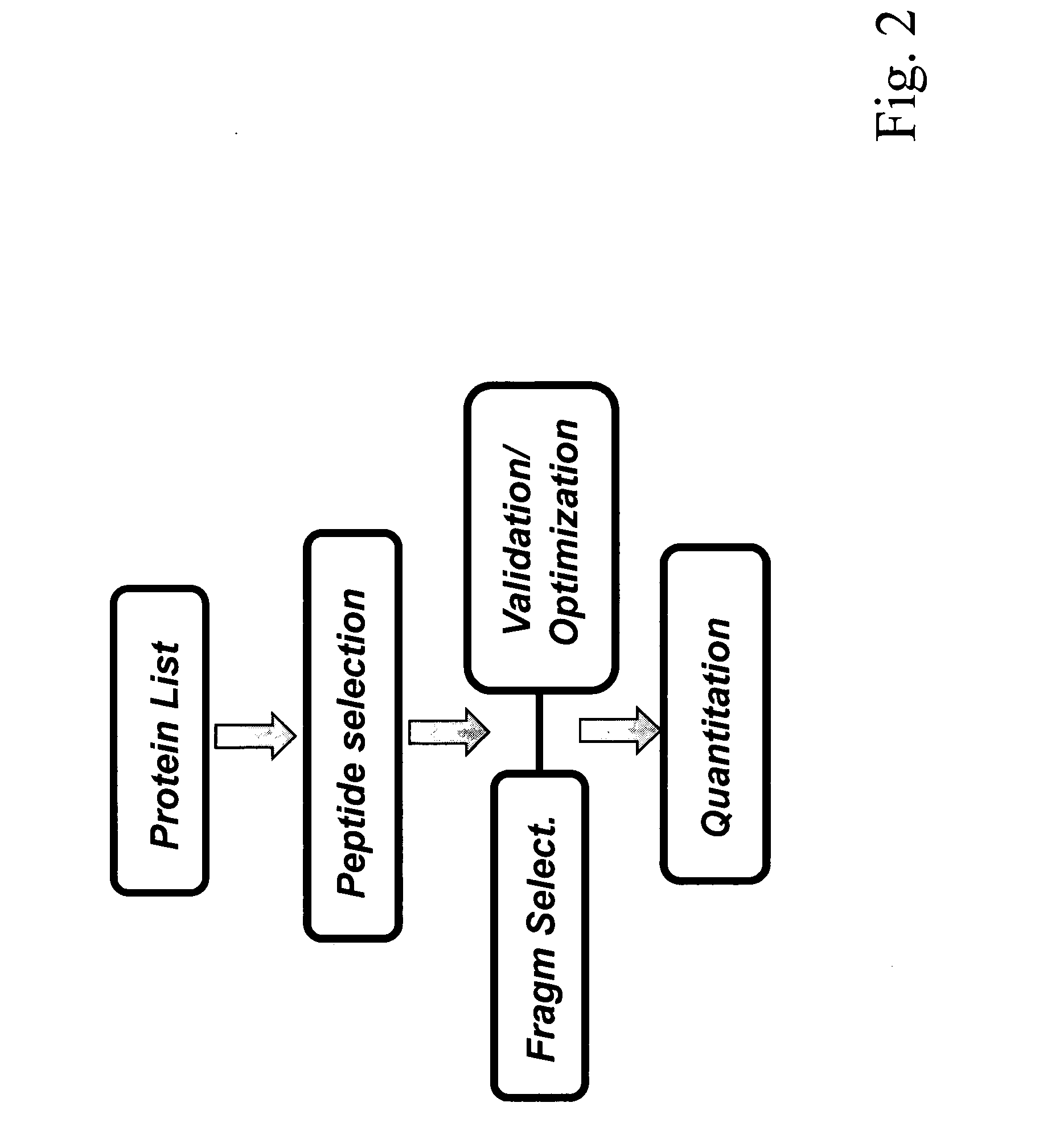 Method for high throughput peptide/protein assay generation and assays generated therewith