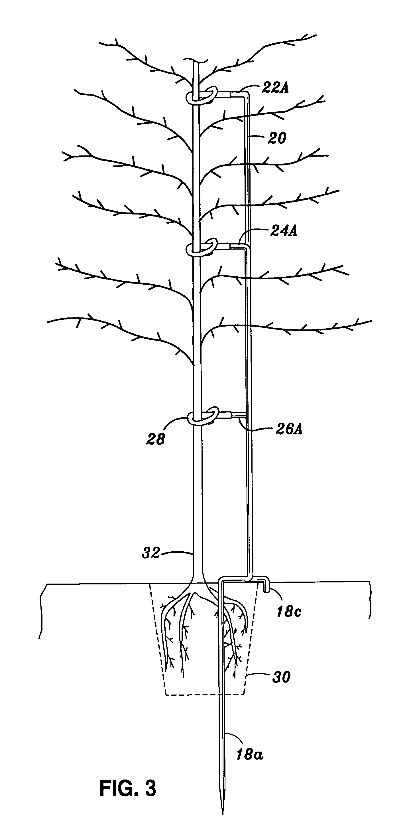 Arbor stake