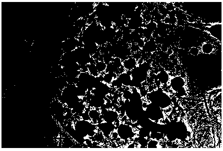 Graphene airgel loaded lithium iron phosphate porous composite material and preparation method thereof