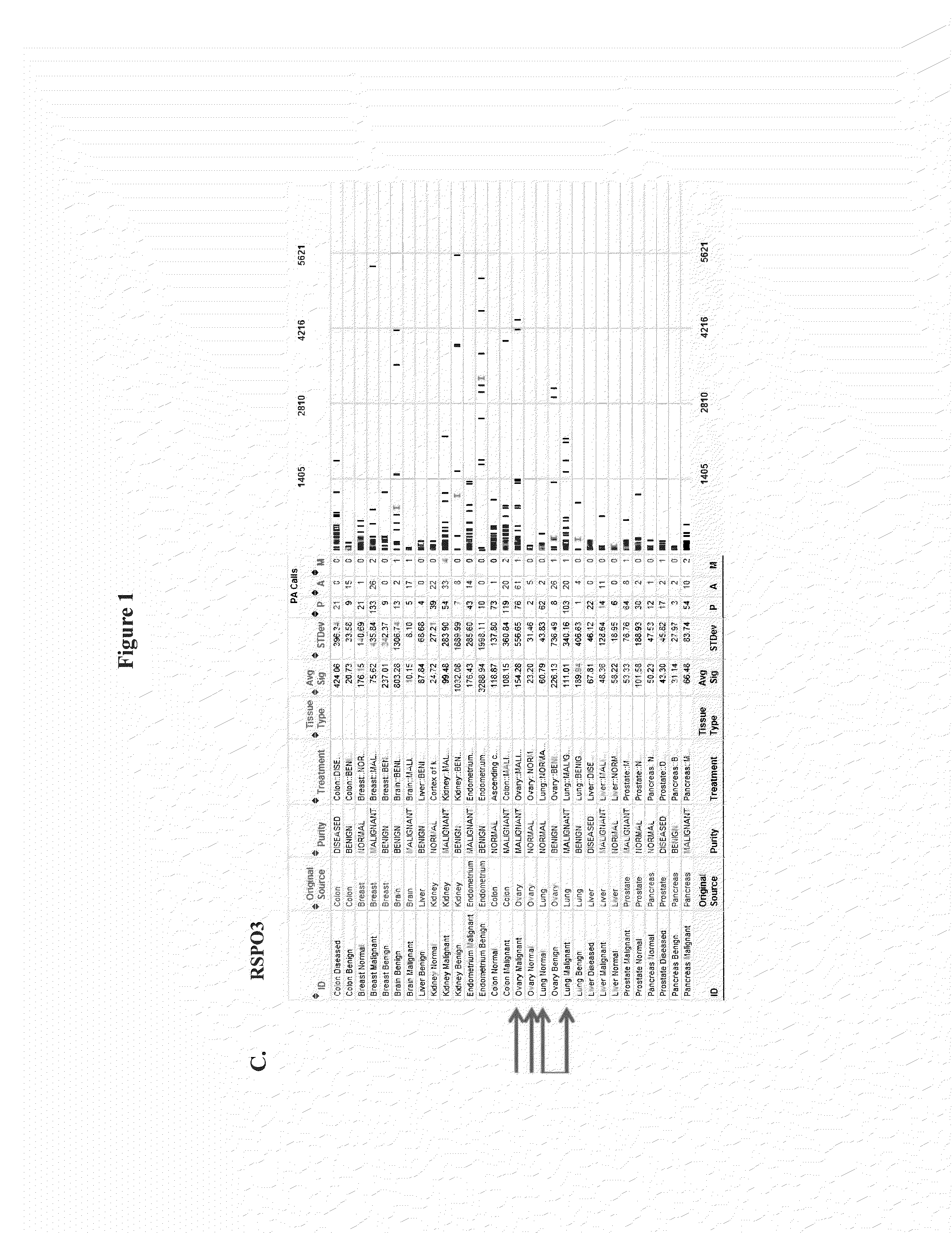 RSPO Binding Agents and Uses Thereof