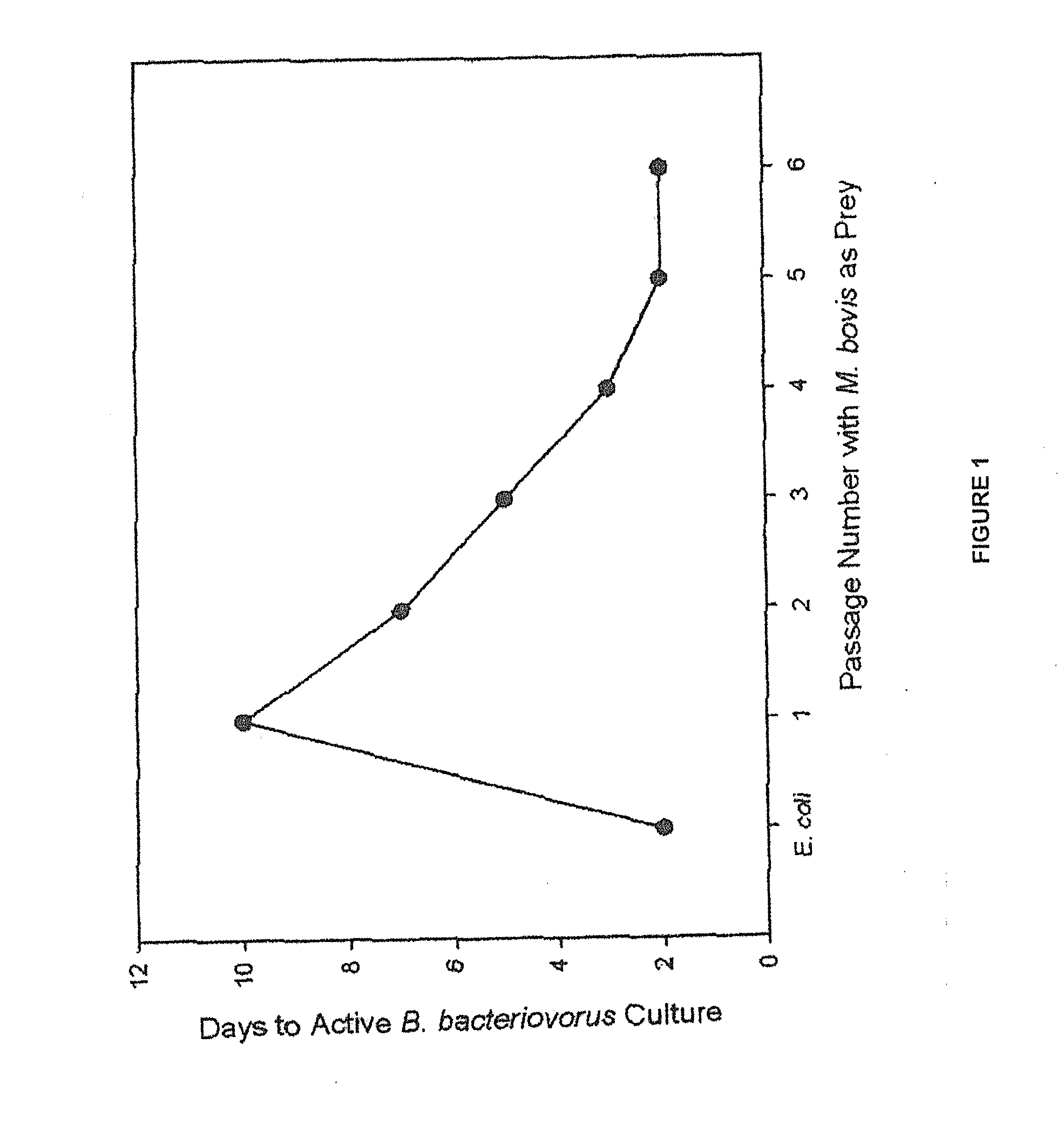 Non-chemotherapeutic antibiotic treatment for infections in cattle