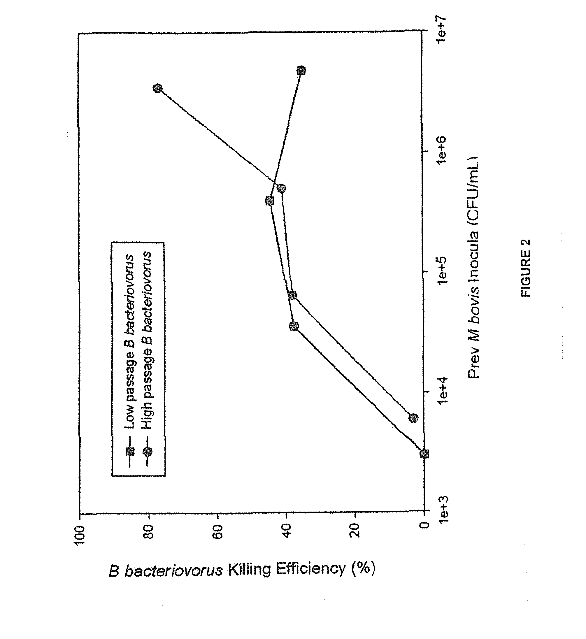 Non-chemotherapeutic antibiotic treatment for infections in cattle